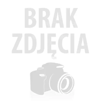 System Dekoracyjny "Boho and White Pampas Garland" designed by ball-ON Boho Ścianka Dekoracyjna z Balonów